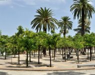 Las 4 plazas más populares de Jerez