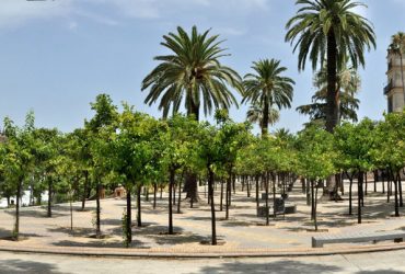 Las 4 plazas más populares de Jerez